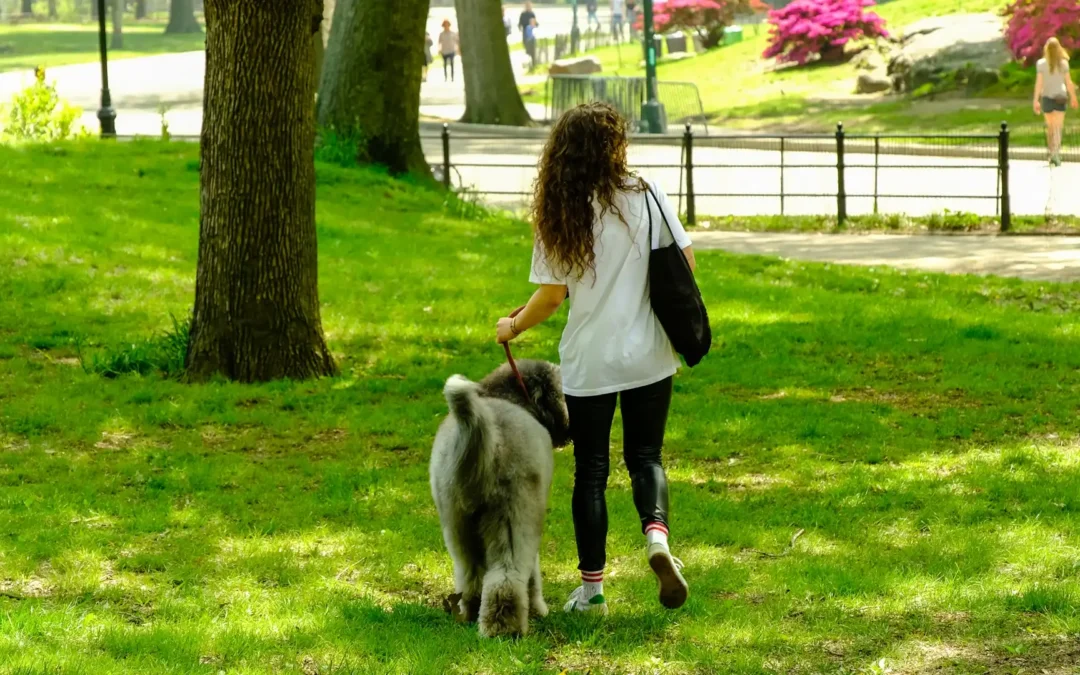 What to Do If You’re Bitten by a Dog in New York